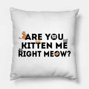 Are You Kitten Me Right Meow Pillow