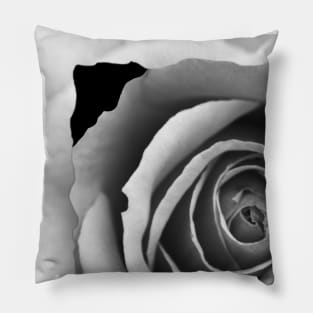 White Rose Box Pillow