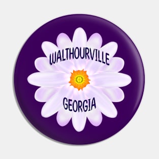 Walthourville Georgia Pin