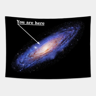 You are here: Milky Way galaxy map Tapestry