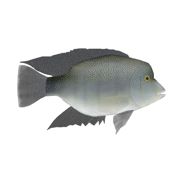 Rio Grande Cichlid by FishFolkArt