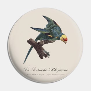 Carolina Parakeet / Perruche a Tete Jaune - 19th century Jacques Barraband Illustration Pin