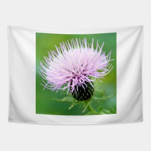 Thistle Tapestry