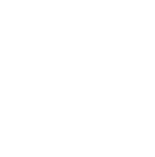 Protect the Coral, Save the Reef Magnet