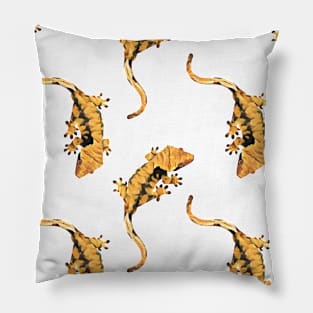 Crested Gecko Pillow