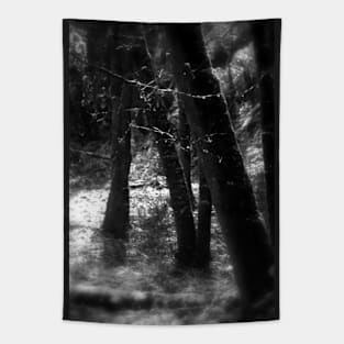 snowy Oregon forest 8 Tapestry