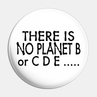 There is No Planet B or C D E ..... Pin