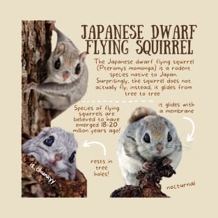 Animal Facts - Japanese Dwarf Flying Squirrel T-Shirt