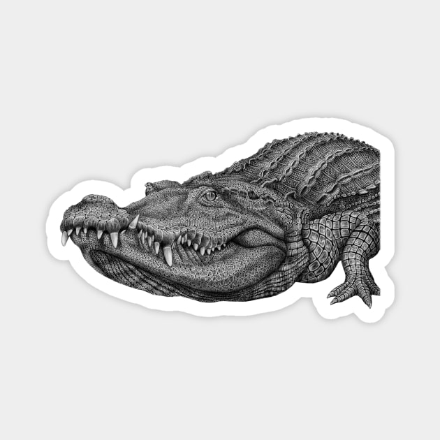 Crocodile Magnet by Tim Jeffs Art