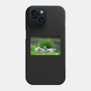 Cygnets Phone Case