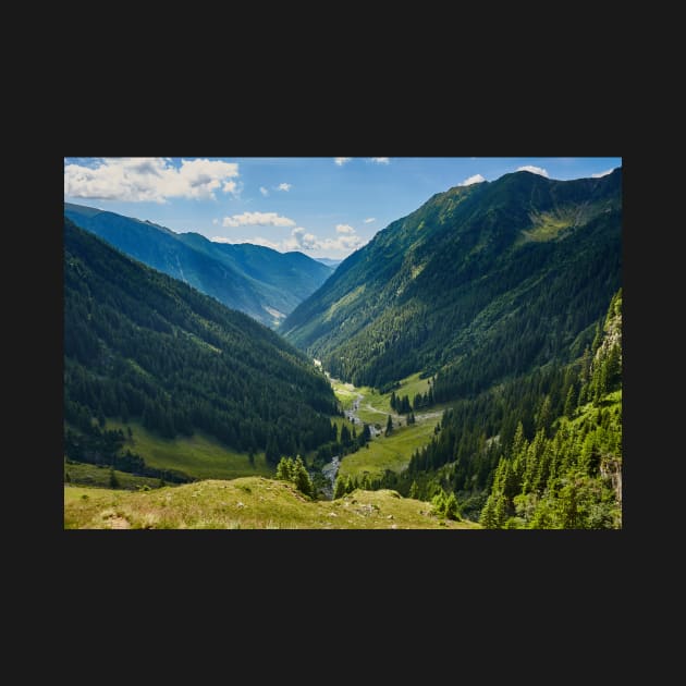 Mountain valley in a summer day by naturalis