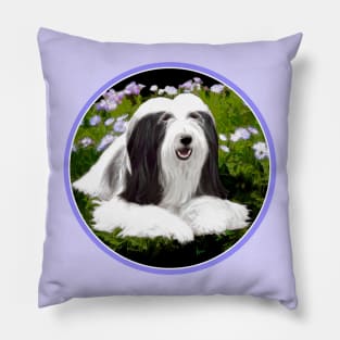 Bearded Collie Pillow