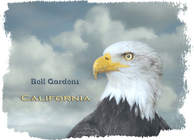 Bald Eagle Bell Gardens CA Kids T-Shirt by Elisabeth Lucas