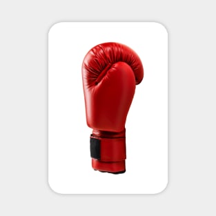Boxing Glove Magnet