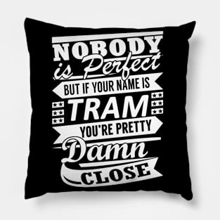 Nobody is Perfect TRAM Pretty Damn Close Pillow