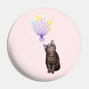 A kitten looking up at a bunch of bright objects Pin