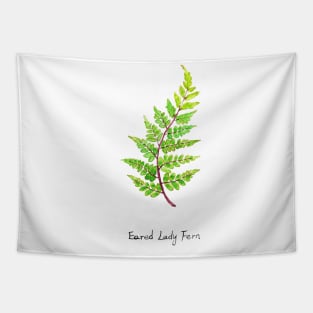 eared lady fern watercolor Tapestry