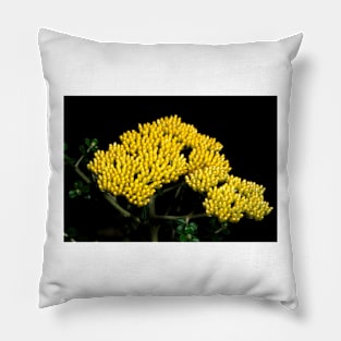 Grey Everlasting Pillow