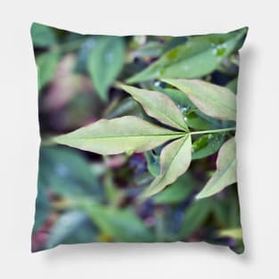 Leaves in Spring Pillow