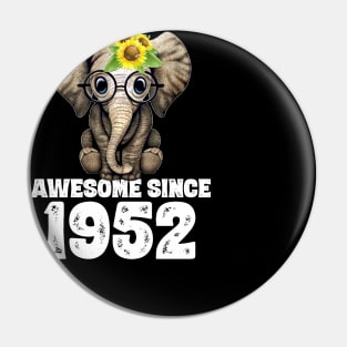 Awesome since 1953 67 Years Old Bday Gift 67th Birthday Pin