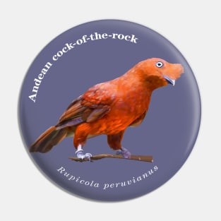 Andean cock-of-the-rock tropical bird pin white text Pin