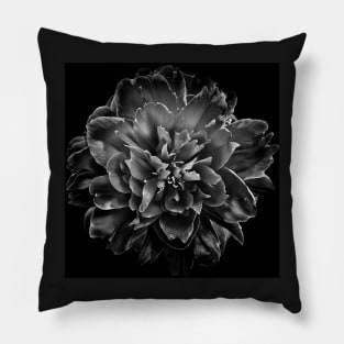 Backyard Flowers In Black And White No 55 Pillow