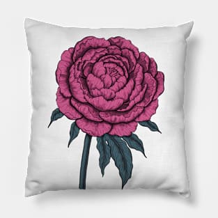 Peony drawing 2 Pillow