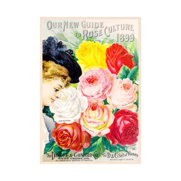 Dingee & Conard Co. Catalogue, 1899 by WAITE-SMITH VINTAGE ART