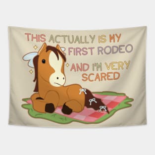 This actually is my first rodeo and I'm very scared Tapestry