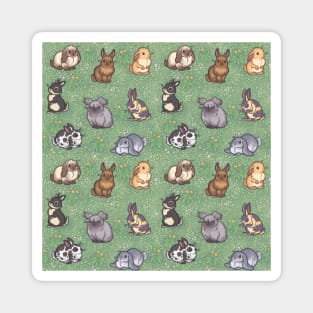 Bunnies 2 Magnet