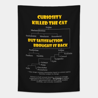 Curiosity and the Cat Tapestry