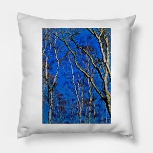 Silver birch trees Pillow