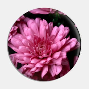 DAHLIA Pin