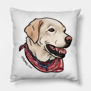 Starbuck — Dogs of Marble, Colorado Pillow