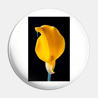 Sculptured Yellow Calla Lily Pin