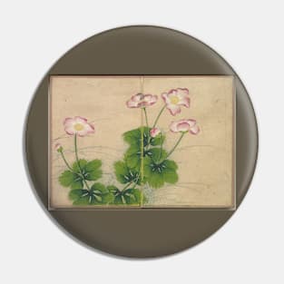 Mallow Flowers (Flower and Bird Paintings) by Zhang Ruoai Pin