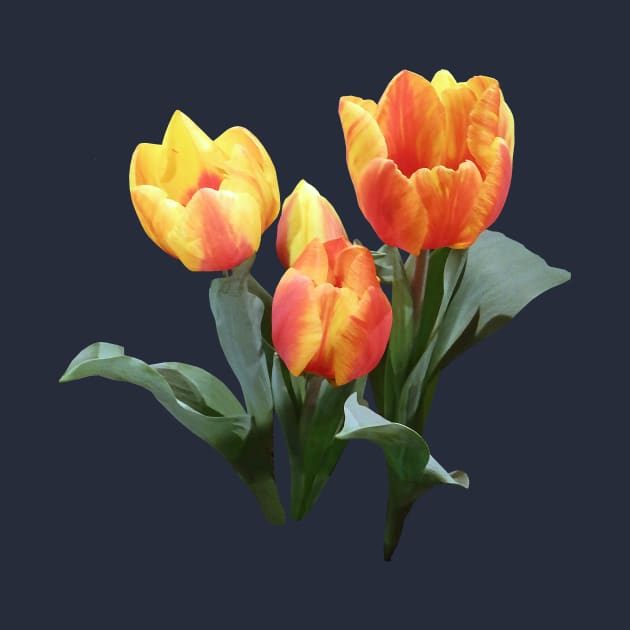 Three Orange and Yellow Tulips by SusanSavad