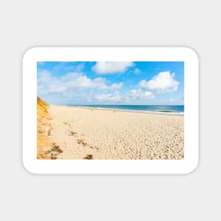 Nauset Beach,  Seashore along beach with view to horizon. Cape Cod, USA.  imagine this on a  card or gracing your room as wall art fine art canvas or framed print on your wall Magnet