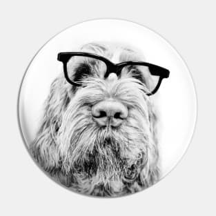 Intelligent friend Spinone by heidiannemorris Pin