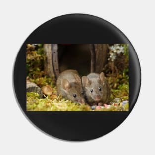 two little mouse in a log pile house Pin