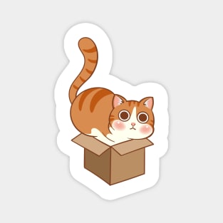 Orange cat in the box Magnet