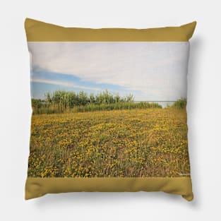 Yellow Grassland No.2 Pillow