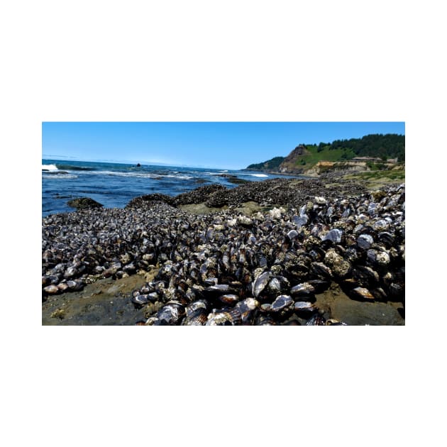 Otter Crest Beach Oregon by supernova23