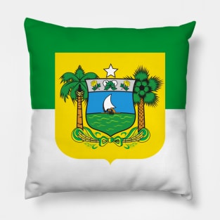 Flag of Rio Grande do Norte Pillow