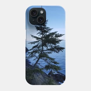 A Tree on Presque Isle Phone Case