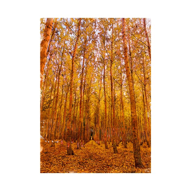 Yellow Leaves Forest Trees by ColortrixArt