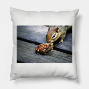 the chipmunk & the toad Pillow