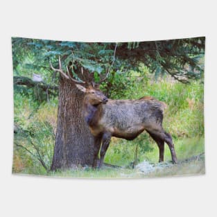 Elk in the Rain Tapestry