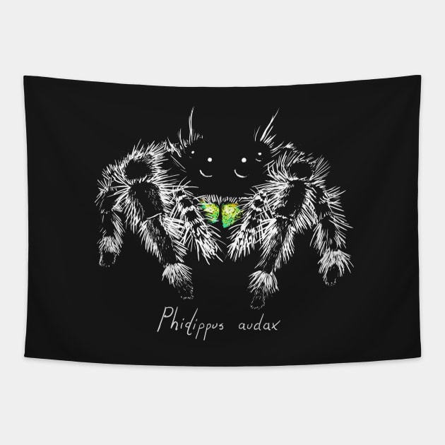 Phidippus audax Tapestry by Meganopteryx