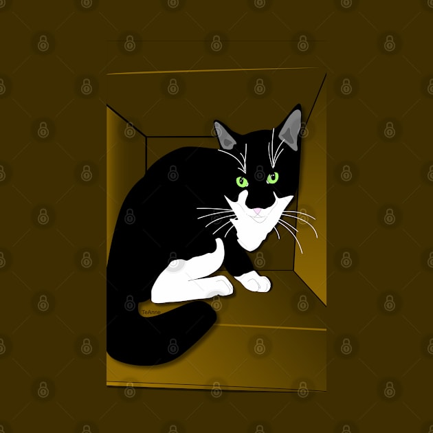 Cute Tuxedo Cat Cat in a box Copyright TeAnne by TeAnne